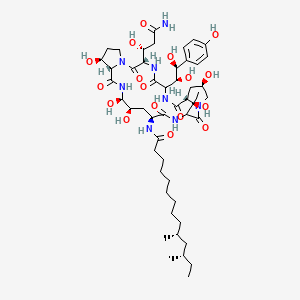 molecular formula C50H80N8O17 B8048722 (10R,12S)-N-[(3S,9S,11R,18S,20R,21R,24S,25S)-3-[(1R)-3-amino-1-hydroxy-3-oxopropyl]-6-[(1S,2S)-1,2-dihydroxy-2-(4-hydroxyphenyl)ethyl]-11,20,21,25-tetrahydroxy-15-[(1R)-1-hydroxyethyl]-2,5,8,14,17,23-hexaoxo-1,4,7,13,16,22-hexazatricyclo[22.3.0.09,13]heptacosan-18-yl]-10,12-dimethyltetradecanamide 