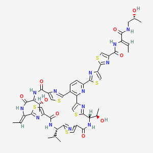 molecular formula C48H49N13O9S6 B8049541 13',19'-Didehydro-19'-deoxy-28,44-dihydro-44-hydroxymicrococcin P 