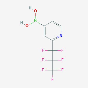 molecular formula C8H5BF7NO2 B8049723 (2-(Perfluoropropyl)pyridin-4-yl)boronic acid 