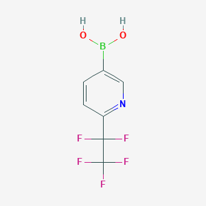 molecular formula C7H5BF5NO2 B8049783 (6-(Perfluoroethyl)pyridin-3-yl)boronic acid 