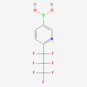 molecular formula C8H5BF7NO2 B8049788 (6-(Perfluoropropyl)pyridin-3-yl)boronic acid 