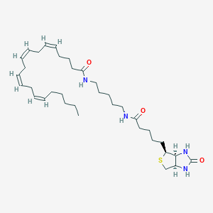 molecular formula C35H58N4O3S B8049932 Arachidonic Acid-biotinamide 