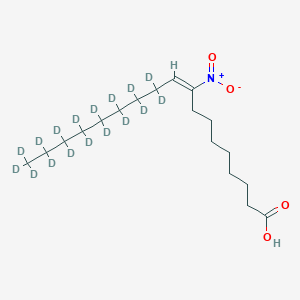 molecular formula C18H33NO4 B8050251 9-Nitrooleate-d17 