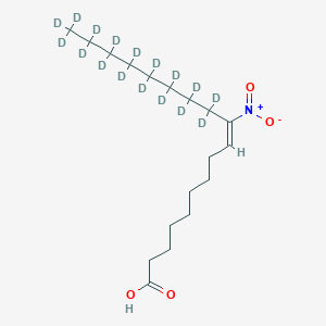 molecular formula C18H33NO4 B8050256 10-Nitrooleate-d17 (nitrate) 