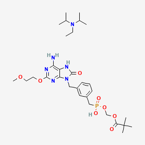 molecular formula C30H49N6O8P B8050404 [3-[[6-amino-2-(2-methoxyethoxy)-8-oxo-7H-purin-9-yl]methyl]phenyl]methyl-(2,2-dimethylpropanoyloxymethoxy)phosphinic acid;N-ethyl-N-propan-2-ylpropan-2-amine 