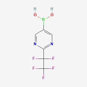 molecular formula C6H4BF5N2O2 B8050573 (2-(Perfluoroethyl)pyrimidin-5-yl)boronic acid 