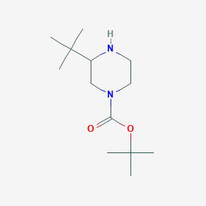 molecular formula C13H26N2O2 B8050634 3-Tert-butyl-piperazine-1-carboxylic acid tert-butyl ester 