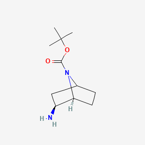 molecular formula C11H20N2O2 B8050650 tert-butyl (1S,2S)-2-amino-7-azabicyclo[2.2.1]heptane-7-carboxylate 