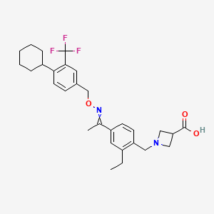 molecular formula C29H35F3N2O3 B8051085 1-{4-[1-(4-环己基-3-三氟甲基-苄氧基亚氨基)-乙基]-2-乙基-苄基}-氮杂环丁烷-3-羧酸 