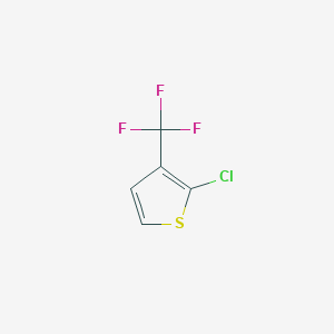 molecular formula C5H2ClF3S B8051890 2-Chloro-3-trifluoromethyl-thiophene 