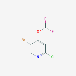 molecular formula C6H3BrClF2NO B8053219 5-Bromo-2-chloro-4-(difluoromethoxy)pyridine 