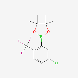 molecular formula C13H15BClF3O2 B8053872 5-Chloro-2-(trifluoromethyl)phenylboronic acid pinacol ester 
