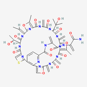 molecular formula C51H51N15O15S B8054826 Unii-M2B3X4HA2W 