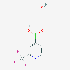 molecular formula C12H17BF3NO3 B8055107 (3-Hydroxy-2,3-dimethylbutan-2-yl)oxy-[2-(trifluoromethyl)pyridin-4-yl]borinic acid 