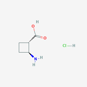 molecular formula C5H10ClNO2 B8055408 (1S,2S)-2-aminocyclobutane-1-carboxylic acid;hydrochloride 