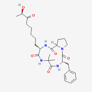 molecular formula C28H40N4O6 B8055510 Dihydrochlamydocin CAS No. 52574-64-8