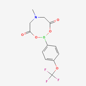 molecular formula C12H11BF3NO5 B8056048 4-(Trifluoromethoxy)phenylboronic acid mida ester 
