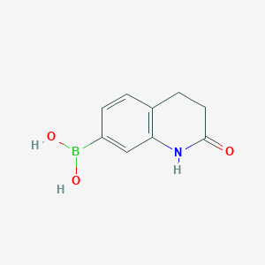 molecular formula C9H10BNO3 B8056598 (2-Oxo-1,2,3,4-tetrahydroquinolin-7-yl)boronic acid 
