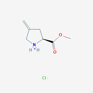 molecular formula C7H12ClNO2 B8056821 (S)-2-(methoxycarbonyl)-4-methylenepyrrolidinium chloride 