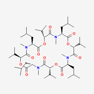 molecular formula C48H84N4O12 B8058538 cyclo[N(Me)Leu-D-OVal-N(Me)Leu-D-OVal-N(Me)Leu-D-OVal-N(Me)Leu-OVal] 