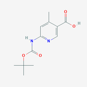 molecular formula C12H16N2O4 B8058816 6-[(Tert-butoxycarbonyl)amino]-4-methylnicotinicacid 