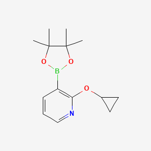molecular formula C14H20BNO3 B8058999 2-Cyclopropoxy-3-(4,4,5,5-tetramethyl-1,3,2-dioxaborolan-2-yl)pyridine 