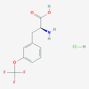(2S)-2-Amino-3-[3-(trifluoromethoxy)phenyl]propanoic acid;hydrochloride