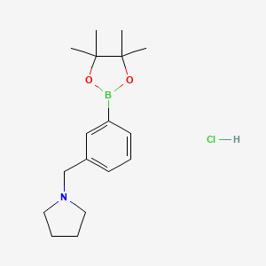 molecular formula C17H27BClNO2 B8060831 1-{[3-(Tetramethyl-1,3,2-dioxaborolan-2-yl)phenyl]methyl}pyrrolidine hydrochloride 