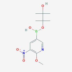 molecular formula C12H19BN2O6 B8062934 2-Methoxy-3-nitropyridine-5-boronic acid pinacol ester 