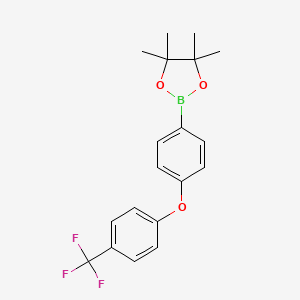 molecular formula C19H20BF3O3 B8063052 4,4,5,5-四甲基-2-(4-(4-(三氟甲基)苯氧基)苯基)-1,3,2-二氧杂硼环丁烷 