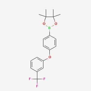 molecular formula C19H20BF3O3 B8063053 4,4,5,5-Tetramethyl-2-[4-[3-(trifluoromethyl)phenoxy]phenyl]-1,3,2-dioxaborolane 