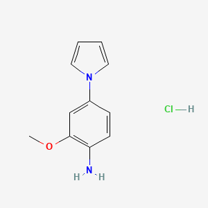 molecular formula C11H13ClN2O B8064400 2-Methoxy-4-pyrrol-1-ylaniline;hydrochloride 