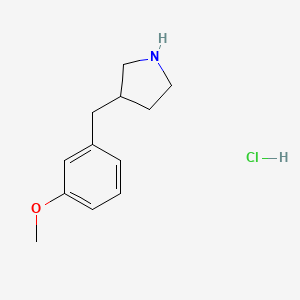 molecular formula C12H18ClNO B8064542 3-(3-Methoxybenzyl)pyrrolidine Hydrochloride 