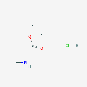 molecular formula C8H16ClNO2 B8064577 Tert-butyl azetidine-2-carboxylate hydrochloride 