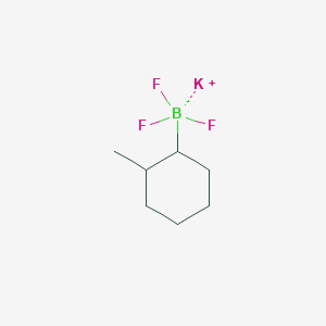 molecular formula C7H13BF3K B8066779 Potassium trifluoro(2-methylcyclohexyl)boranuide 