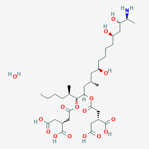 molecular formula C34H61NO16 B8066845 (2R)-2-[2-[(5R,6R,9S,11R,16R,18S,19S)-19-amino-6-[(3R)-3,4-dicarboxybutanoyl]oxy-11,16,18-trihydroxy-5,9-dimethylicosan-7-yl]oxy-2-oxoethyl]butanedioic acid;hydrate 