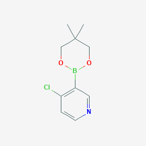 molecular formula C10H13BClNO2 B8067038 4-Chloro-3-(5,5-dimethyl-1,3,2-dioxaborinan-2-YL)pyridine 