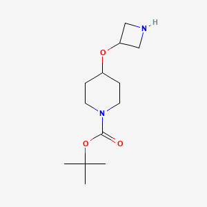 molecular formula C13H24N2O3 B8067225 tert-Butyl 4-(azetidin-3-yloxy)piperidine-1-carboxylate 
