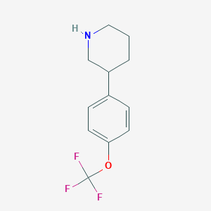 molecular formula C12H14F3NO B8067288 3-[4-(Trifluoromethoxy)phenyl]piperidine 