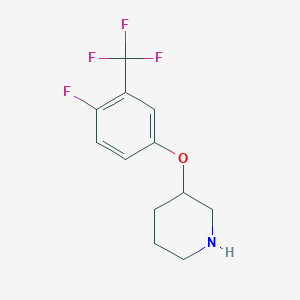 molecular formula C12H13F4NO B8067452 3-(4-Fluoro-3-(trifluoromethyl)phenoxy)piperidine 