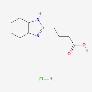 molecular formula C11H17ClN2O2 B8067754 4-(4,5,6,7-tetrahydro-1H-1,3-benzodiazol-2-yl)butanoic acid hydrochloride 