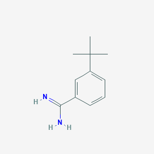 molecular formula C11H16N2 B8068269 3-tert-Butyl-benzamidine 