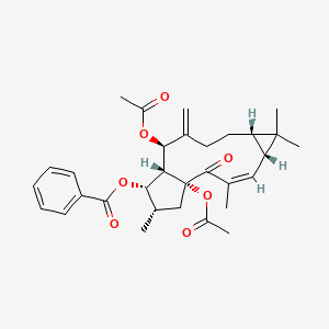 molecular formula C31H38O7 B8069434 [(1R,3Z,5R,7S,11R,12R,13S,14S)-1,11-diacetyloxy-3,6,6,14-tetramethyl-10-methylidene-2-oxo-13-tricyclo[10.3.0.05,7]pentadec-3-enyl] benzoate 