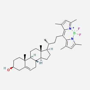 molecular formula C36H51BF2N2O B8069969 BODIPY-胆固醇 