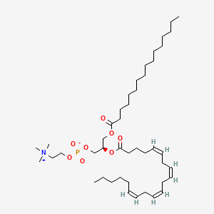 molecular formula C44H80NO8P B8070146 PC(16:0/20:4(5Z,8Z,11Z,14Z)) 