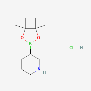 Piperidine-3-boronic acid pinacol ester hydrochloride