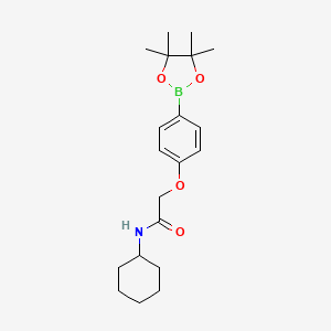 molecular formula C20H30BNO4 B8070743 N-Cyclohexyl-2-(4-(4,4,5,5-tetramethyl-1,3,2-dioxaborolan-2-yl)phenoxy)acetamide 