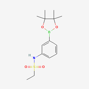 molecular formula C14H22BNO4S B8070783 N-[3-(tetramethyl-1,3,2-dioxaborolan-2-yl)phenyl]ethane-1-sulfonamide 