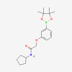 molecular formula C19H28BNO4 B8070819 N-Cyclopentyl-2-(3-(4,4,5,5-tetramethyl-1,3,2-dioxaborolan-2-yl)phenoxy)acetamide 