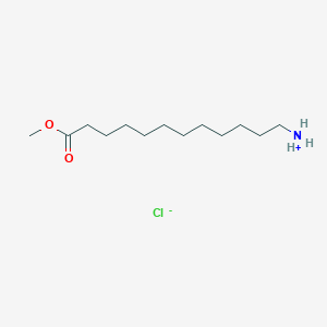 molecular formula C13H28ClNO2 B8071747 (12-Methoxy-12-oxododecyl)azanium;chloride 